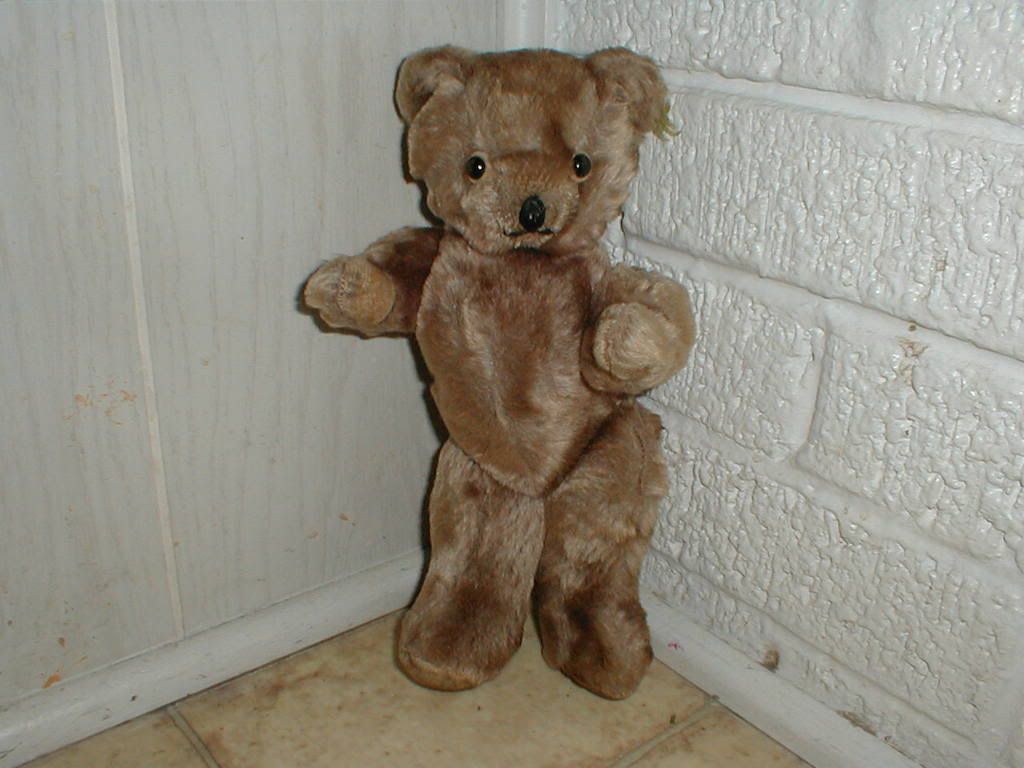 Old Teddy