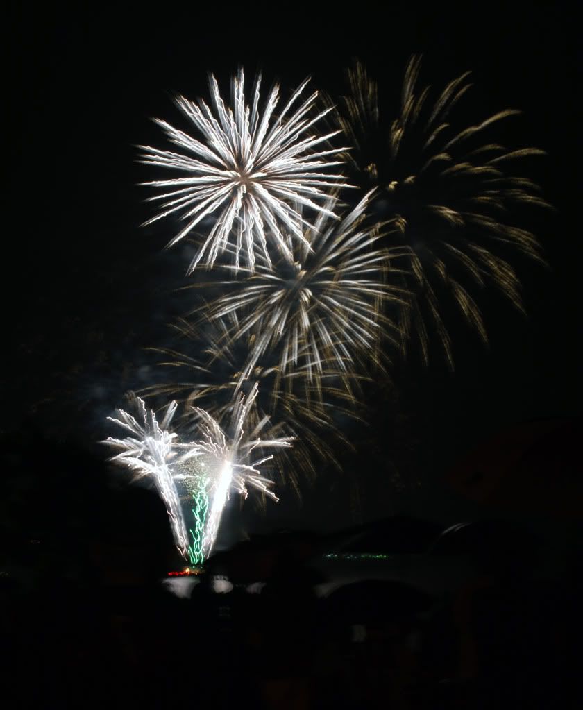 FireWorks.jpg Fireworks image by elyonmoon