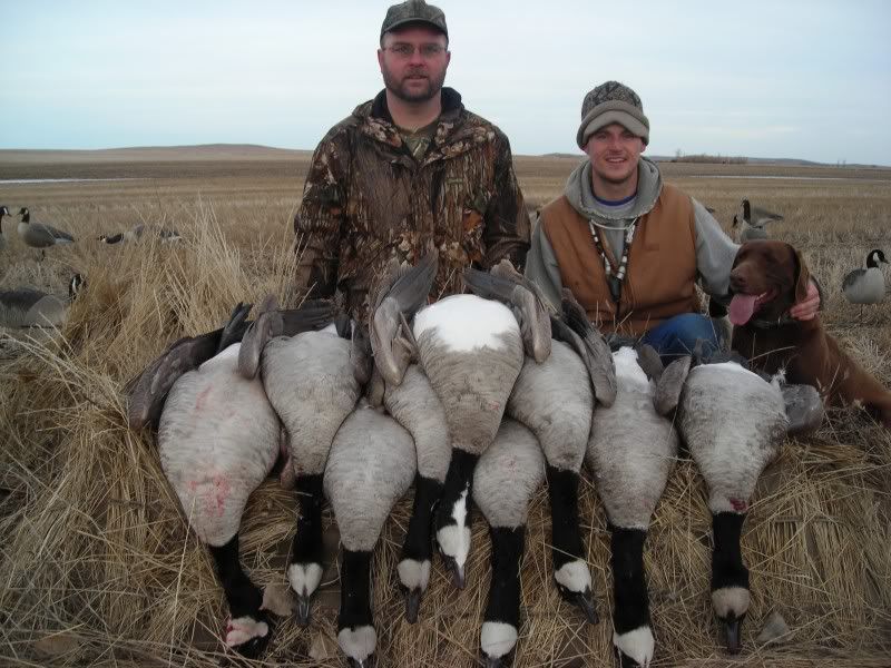 Quill Lake Goose Question? Refuge Forums