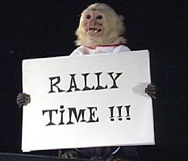 rallytimeeee.jpg