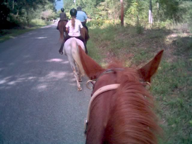 TRAIL RIDE LESSON DURING A CAMP LESSON