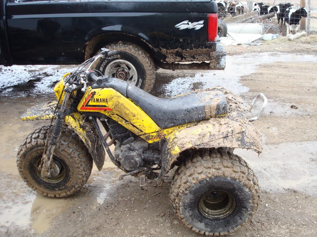Yamaha+225DR+3+Wheeler Thoughts on a Yamaha 225 DX 3-Wheeler? - Yamaha Grizzly ATV Forum