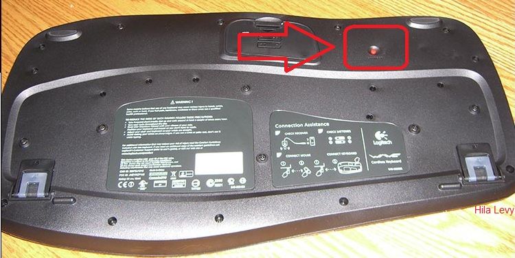 keyboardback.jpg