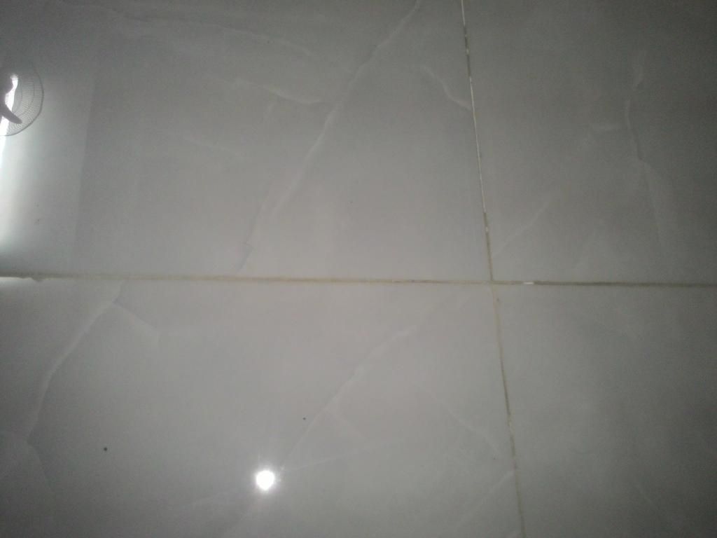 cao nhân nào rành về xử lý nền ron gạch nhà giúp em với help help