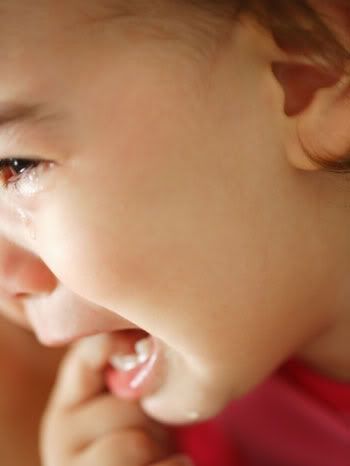 Admin, MOD, Mem 5giay.vn họ là người như thế nào?