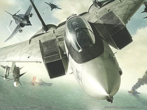 Forum Image: http://i306.photobucket.com/albums/nn272/mpo_ocelot/Ace%20Combat/2157986889_19b306df06.jpg