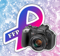 Flickr Forever Photo