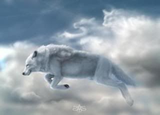 Cloud Wolf Pictures, Images and Photos