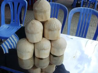 DSC06270.jpg