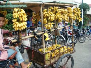 DSC06309a.jpg