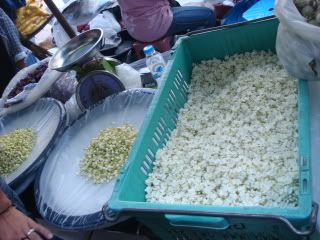DSC02874.jpg