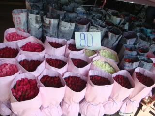 DSC02876.jpg