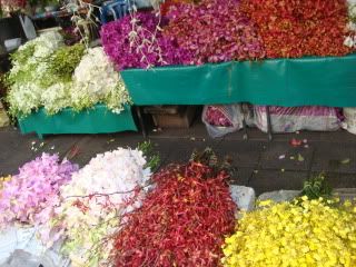 DSC02880.jpg