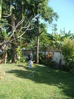 DSC02915.jpg