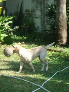DSC02916.jpg