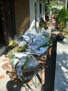 DSC02917-1.jpg