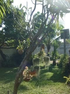 DSC02930.jpg
