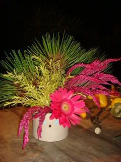 DSC02982.jpg