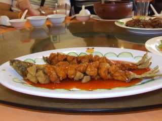 2006_0610ModInHongkong20001.jpg