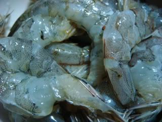 DSC08106.jpg