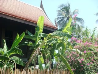 DSC03864.jpg