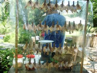 DSC03882.jpg