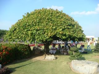 DSC04005.jpg