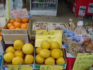 DSC07532.jpg
