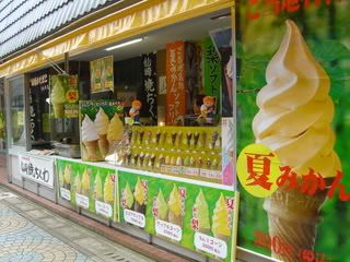 DSC07611.jpg