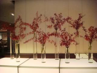 DSC03562.jpg