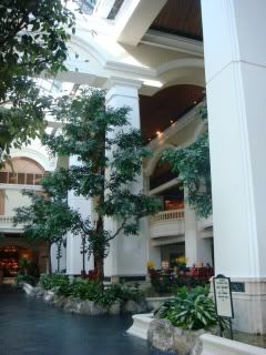 DSC06506.jpg