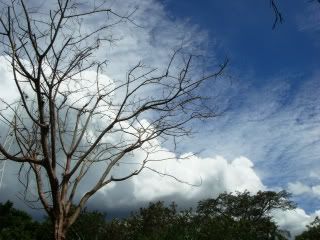 DSC04778.jpg