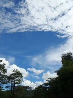 DSC04838.jpg