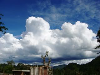 DSC04906.jpg