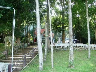 DSC04910.jpg