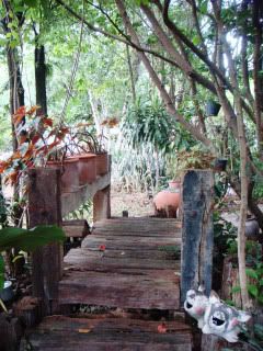 DSC04925.jpg