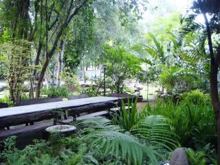 DSC04929.jpg