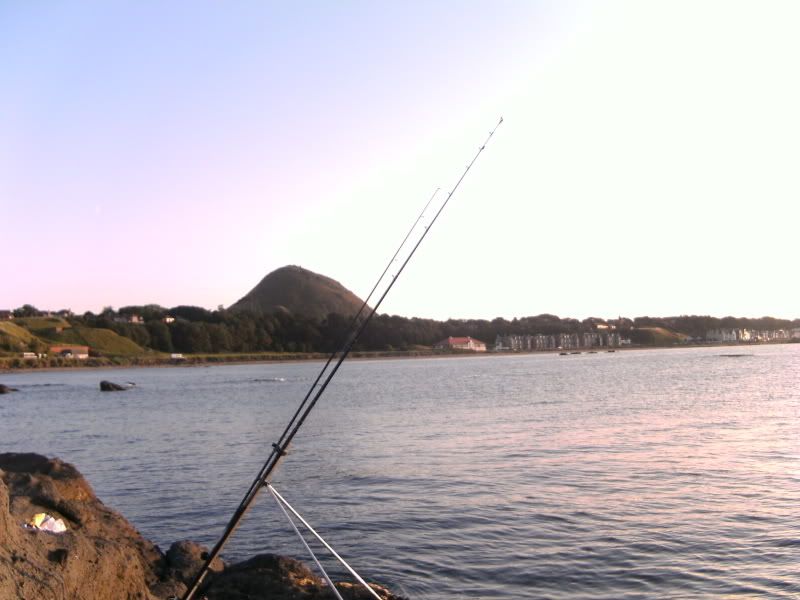 PICT0348.jpg