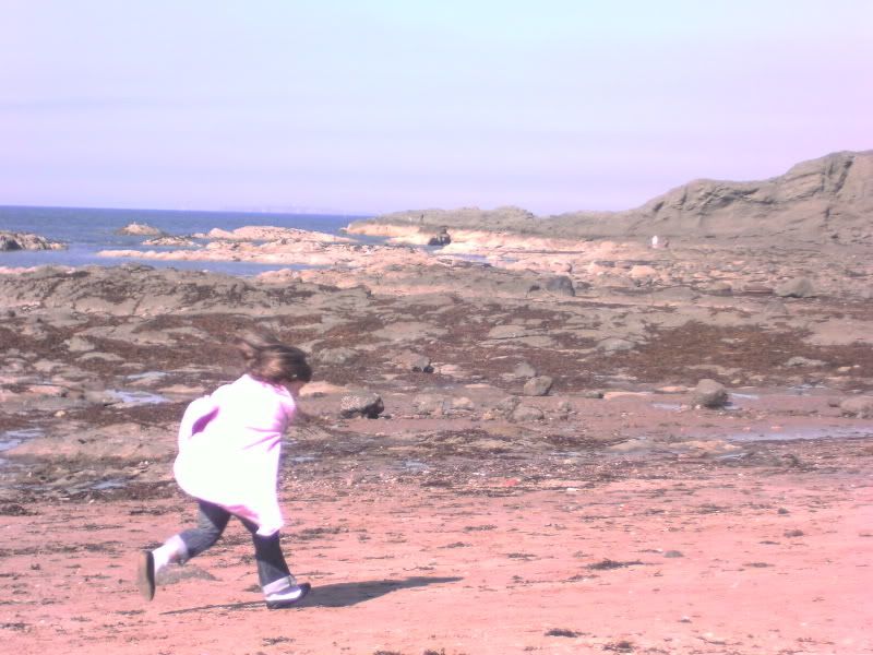 rockybay.jpg