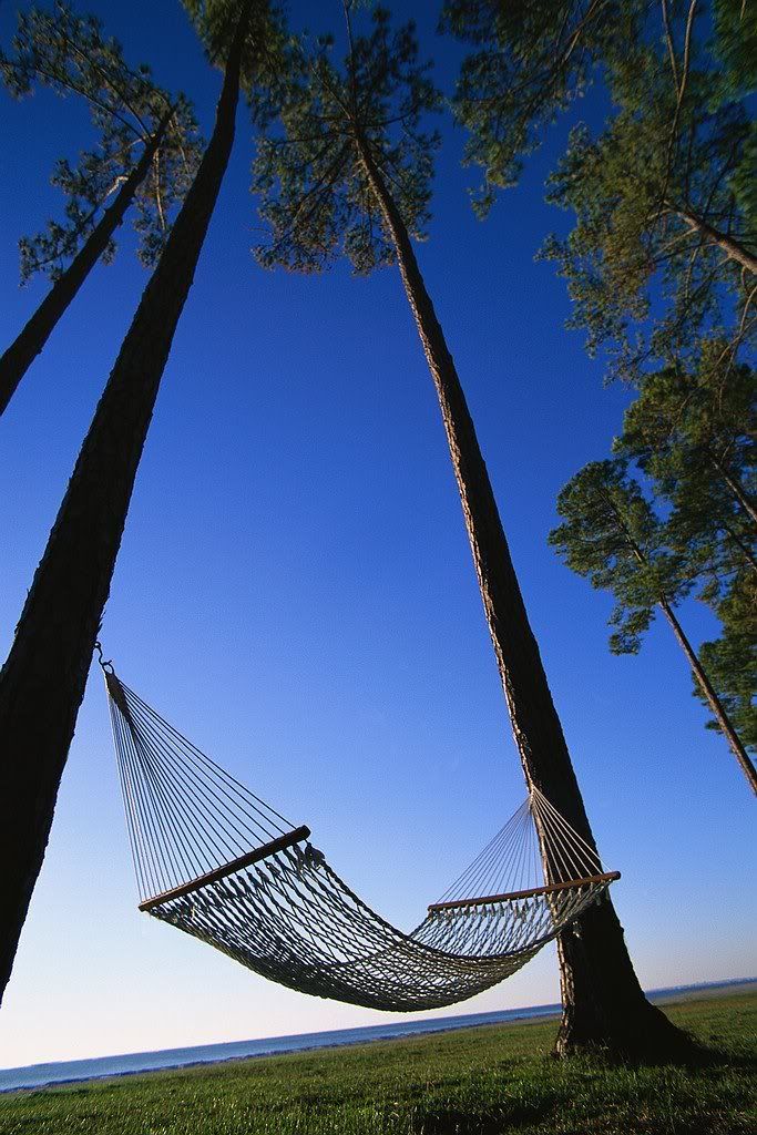 Hammock