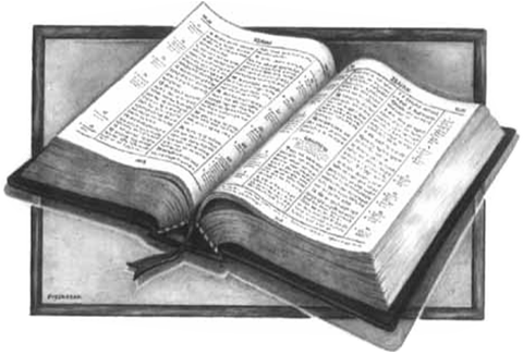 Open Bible Illustration