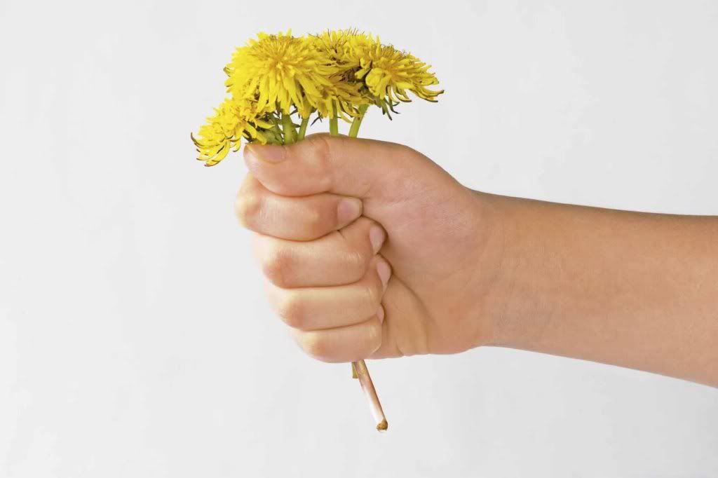Hand with Dandelions