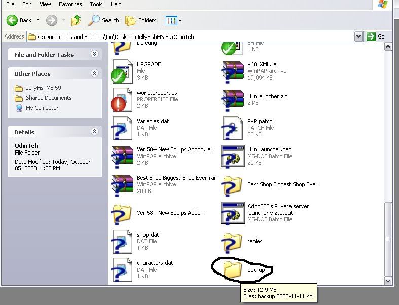 oknoproblem - [Release] LLin Launcher 8.0: re-added old path setting system(You have a choice) - RaGEZONE Forums