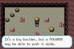 [PokeCommunity.com] Pokemon Police