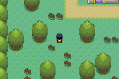 [PokeCommunity.com] Pokemon Police