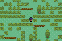 [PokeCommunity.com] Pokemon Police