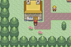 [PokeCommunity.com] Pokemon Police Returns