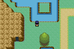 [PokeCommunity.com] Pokemon Police