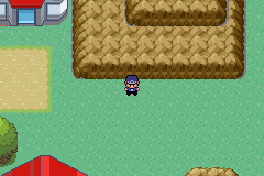 [PokeCommunity.com] Pokemon Police