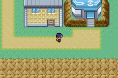 [PokeCommunity.com] Pokemon Police